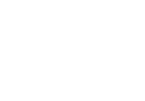 Doylo